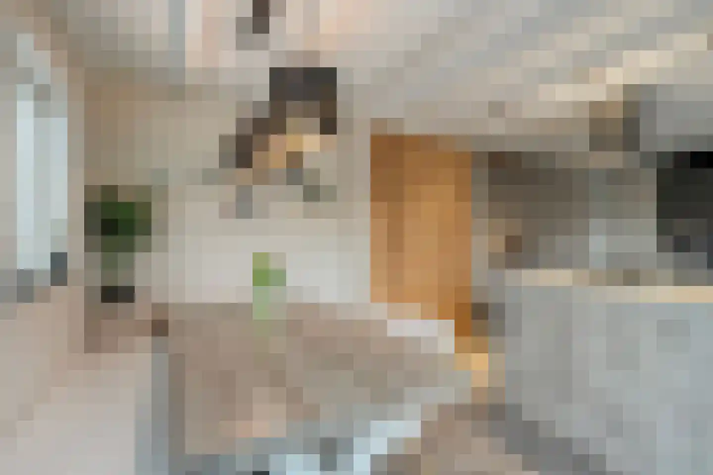 Klapperdijk 41 Wapenveld thumbnail 12