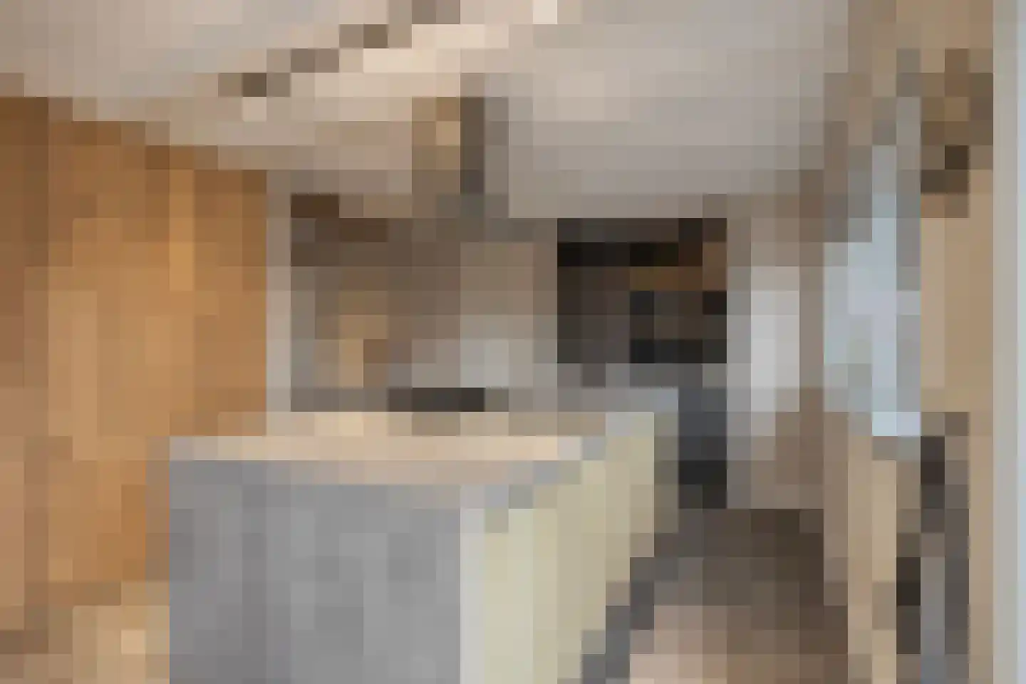 Klapperdijk 41 Wapenveld thumbnail 13