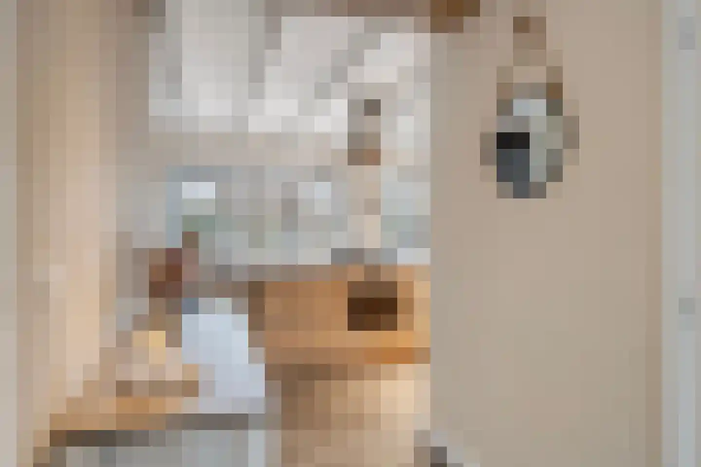 Klapperdijk 41 Wapenveld thumbnail 14