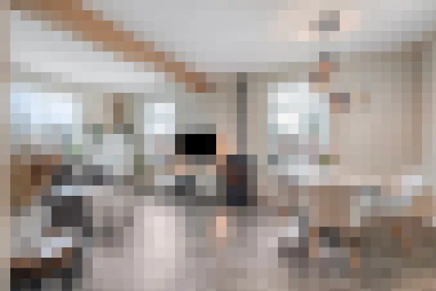 Klapperdijk 41 Wapenveld thumbnail 19