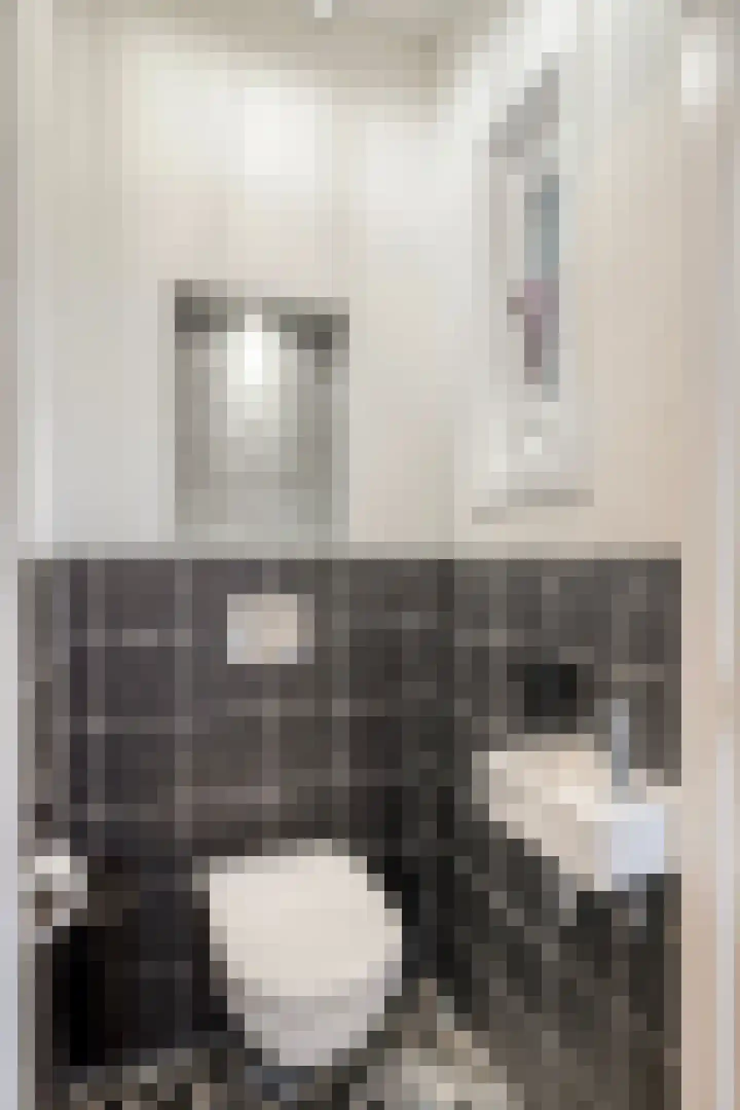 Klapperdijk 41 Wapenveld thumbnail 32