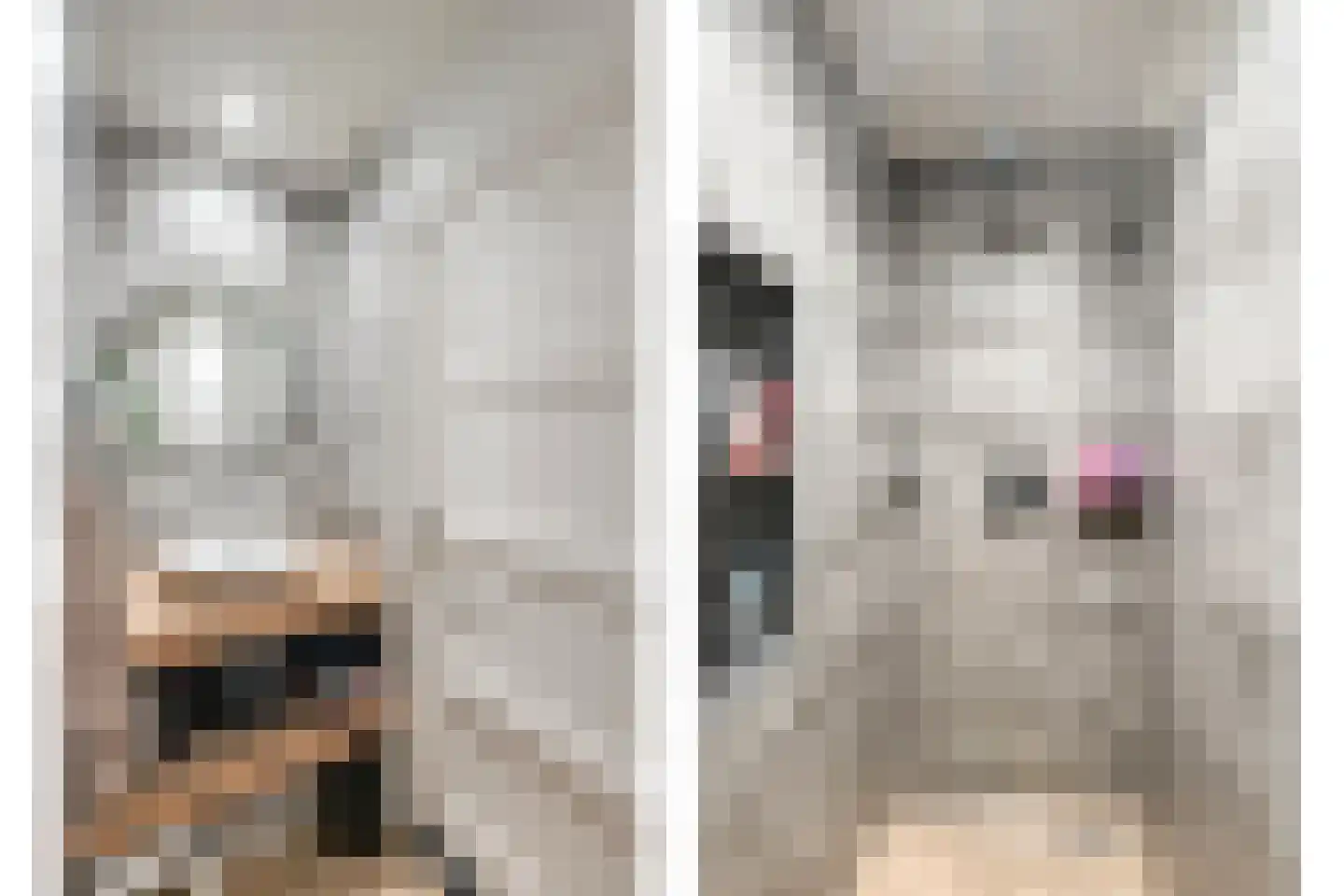 Klapperdijk 41 Wapenveld thumbnail 44