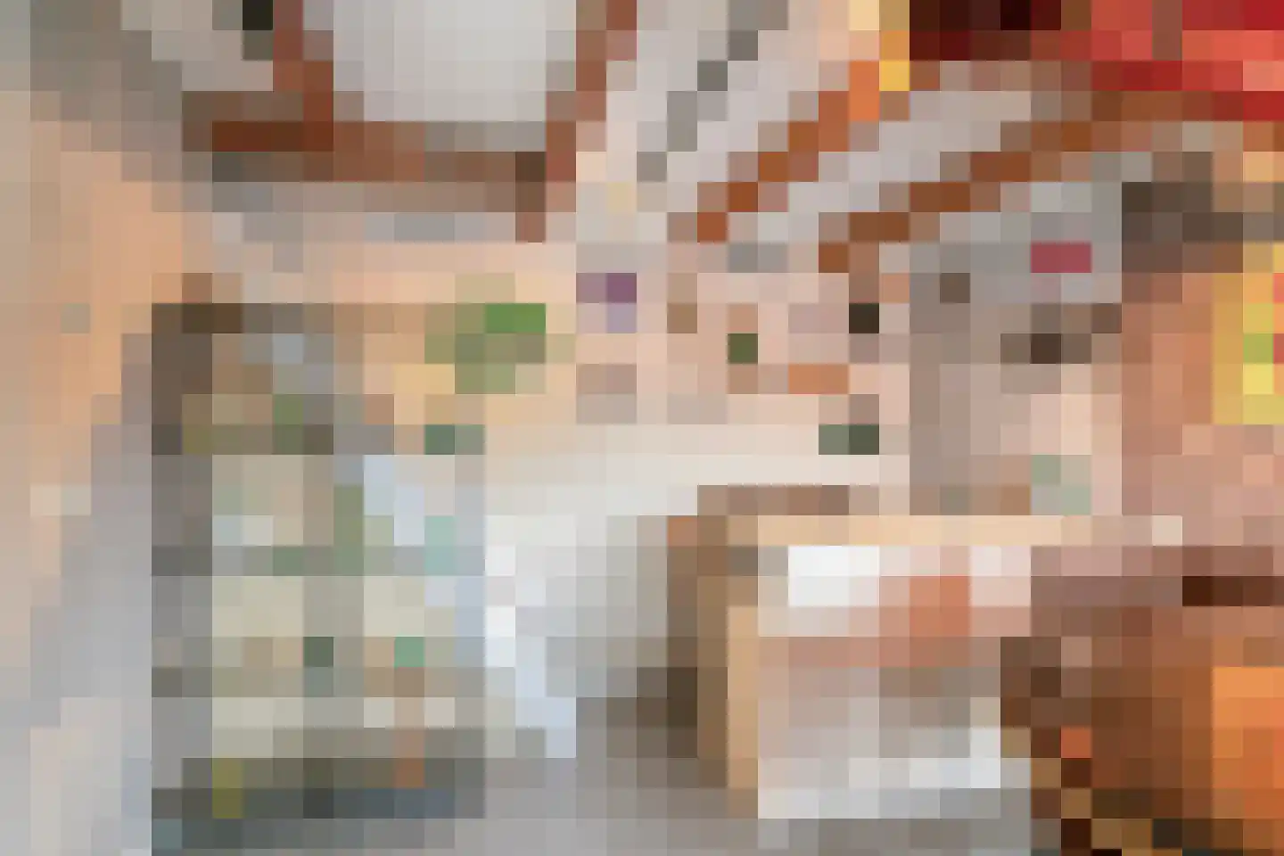 Klapperdijk 41 Wapenveld thumbnail 50