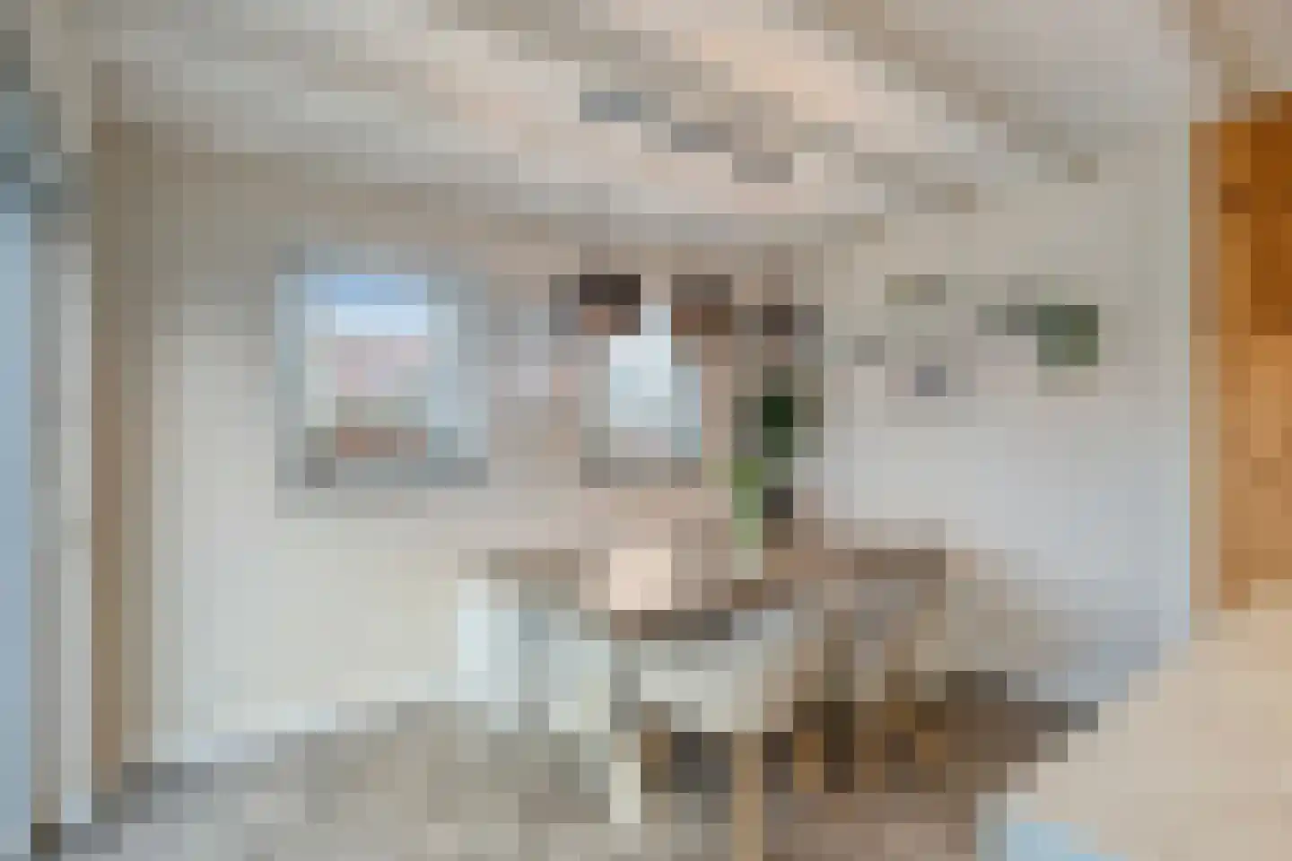Klapperdijk 41 Wapenveld thumbnail 7