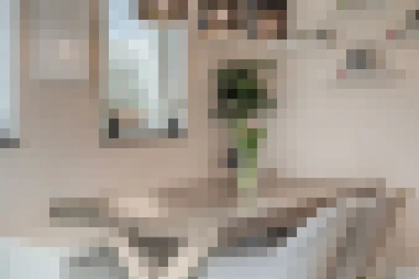 Klapperdijk 41 Wapenveld thumbnail 8