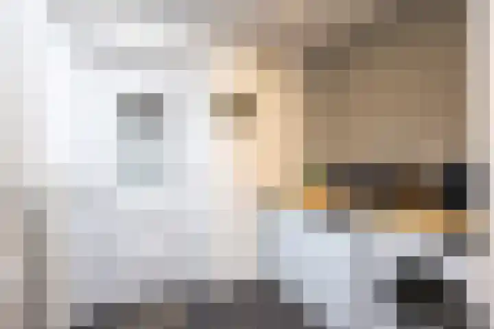 Klapperhornsterweg 35 Rasquert thumbnail 19