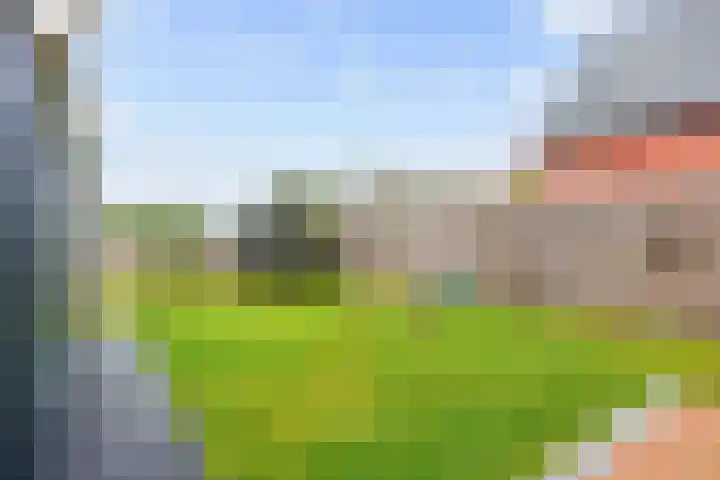 Klapperhornsterweg 35 Rasquert thumbnail 33