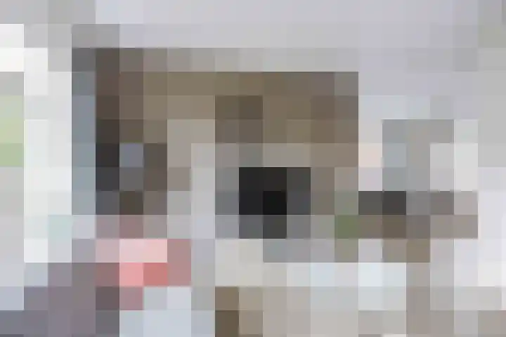 Klapperhornsterweg 35 Rasquert thumbnail 7