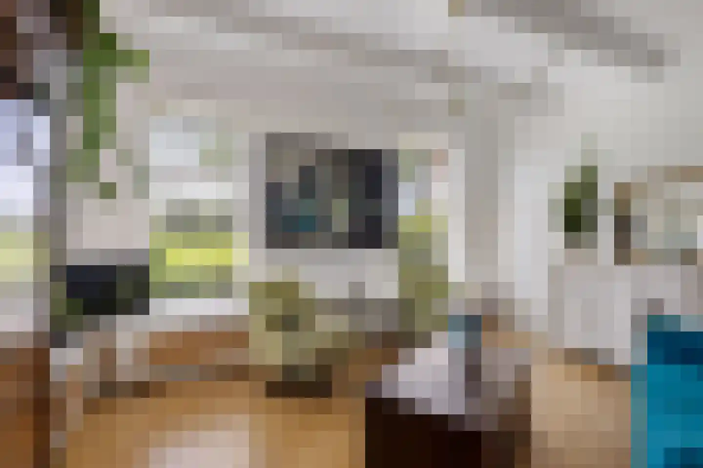 Klapperhornsterweg 5 Rasquert thumbnail 13