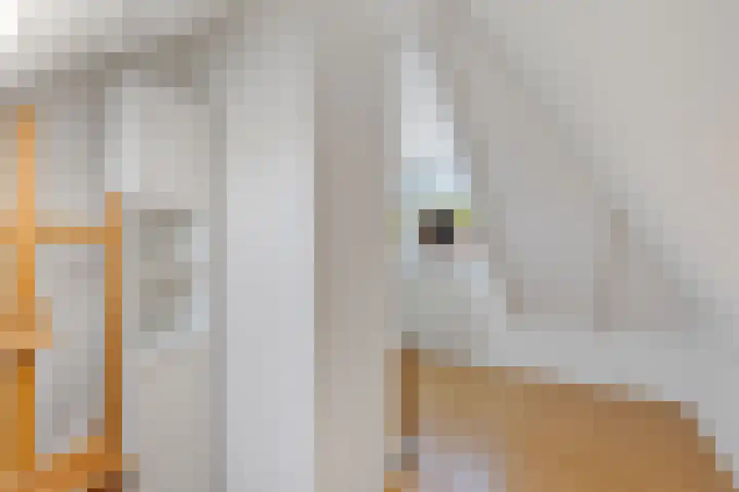 Klapperhornsterweg 5 Rasquert thumbnail 39