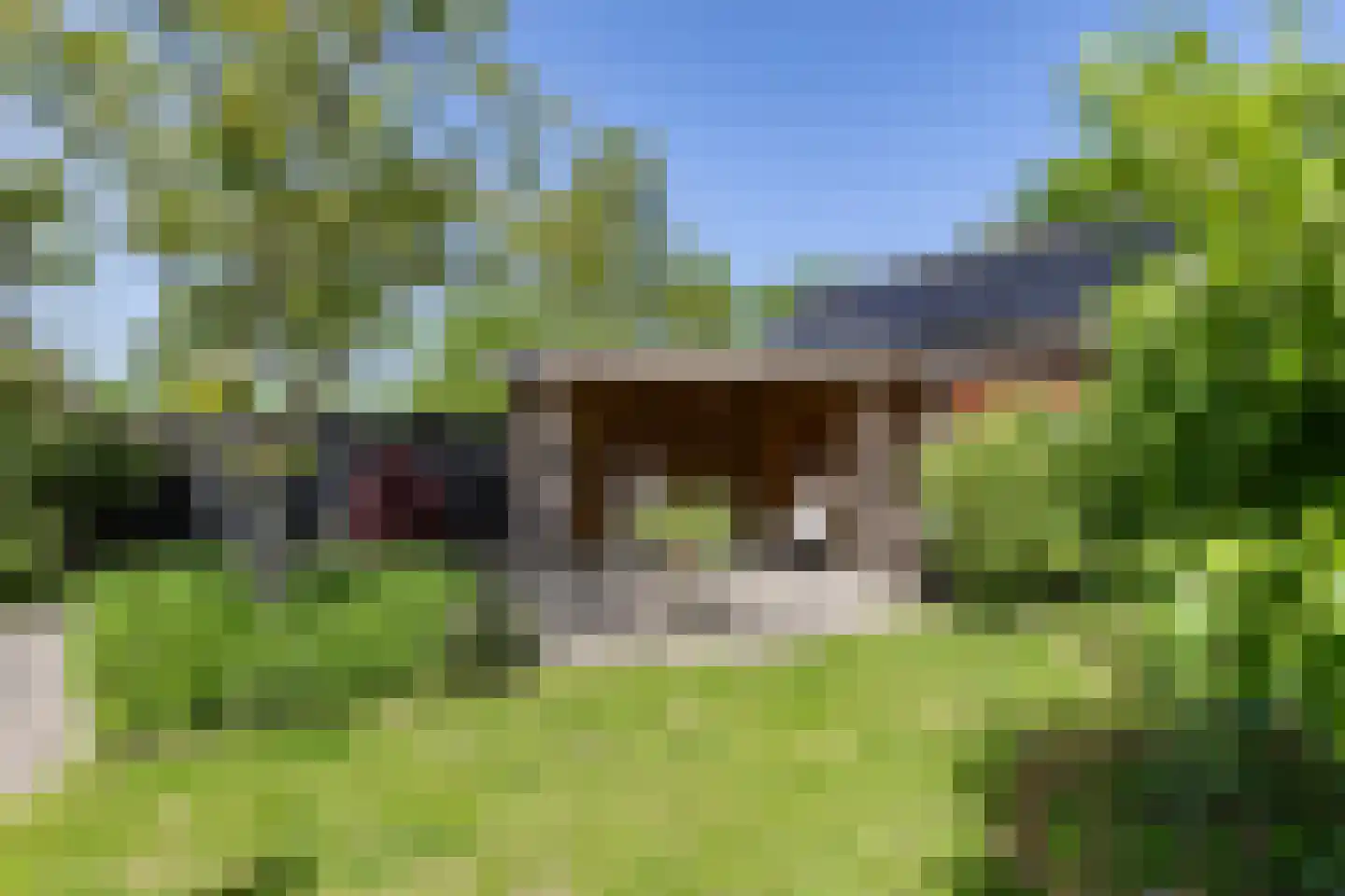 Klapperhornsterweg 5 Rasquert thumbnail 44