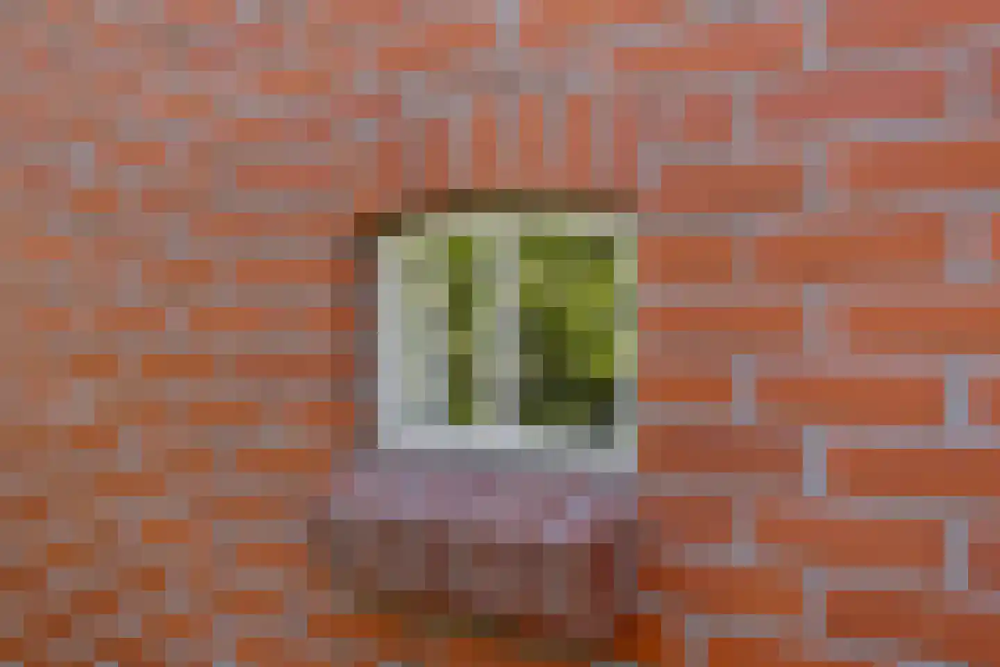 Klapperhornsterweg 5 Rasquert thumbnail 47