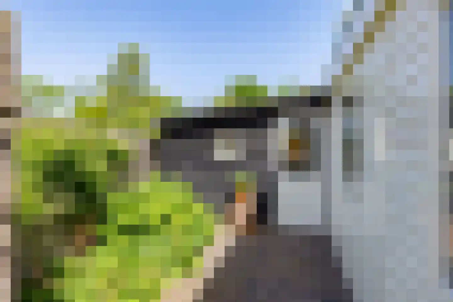 Klapperhornsterweg 5 Rasquert thumbnail 48