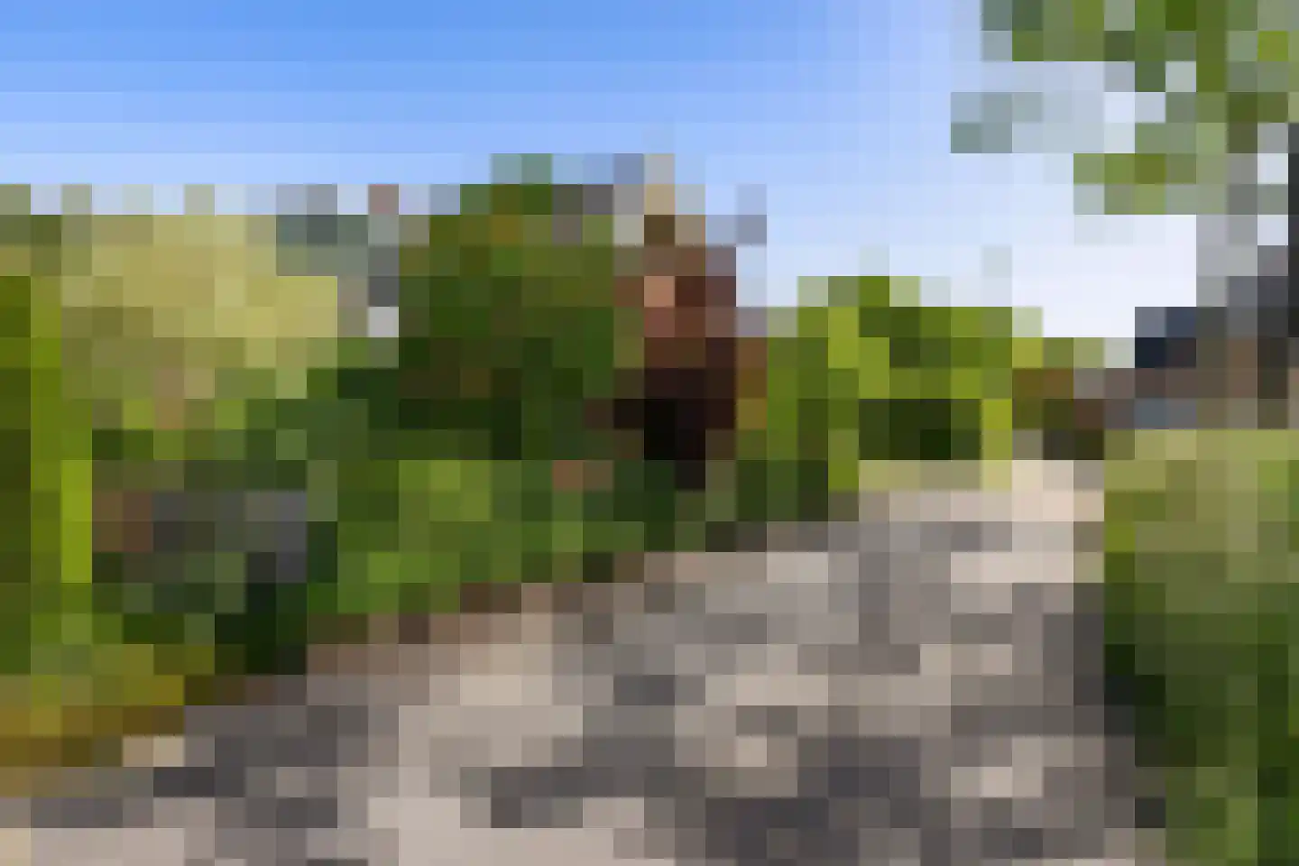Klapperhornsterweg 5 Rasquert thumbnail 5