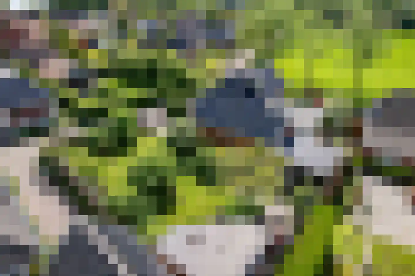 Klapperhornsterweg 5 Rasquert thumbnail 51