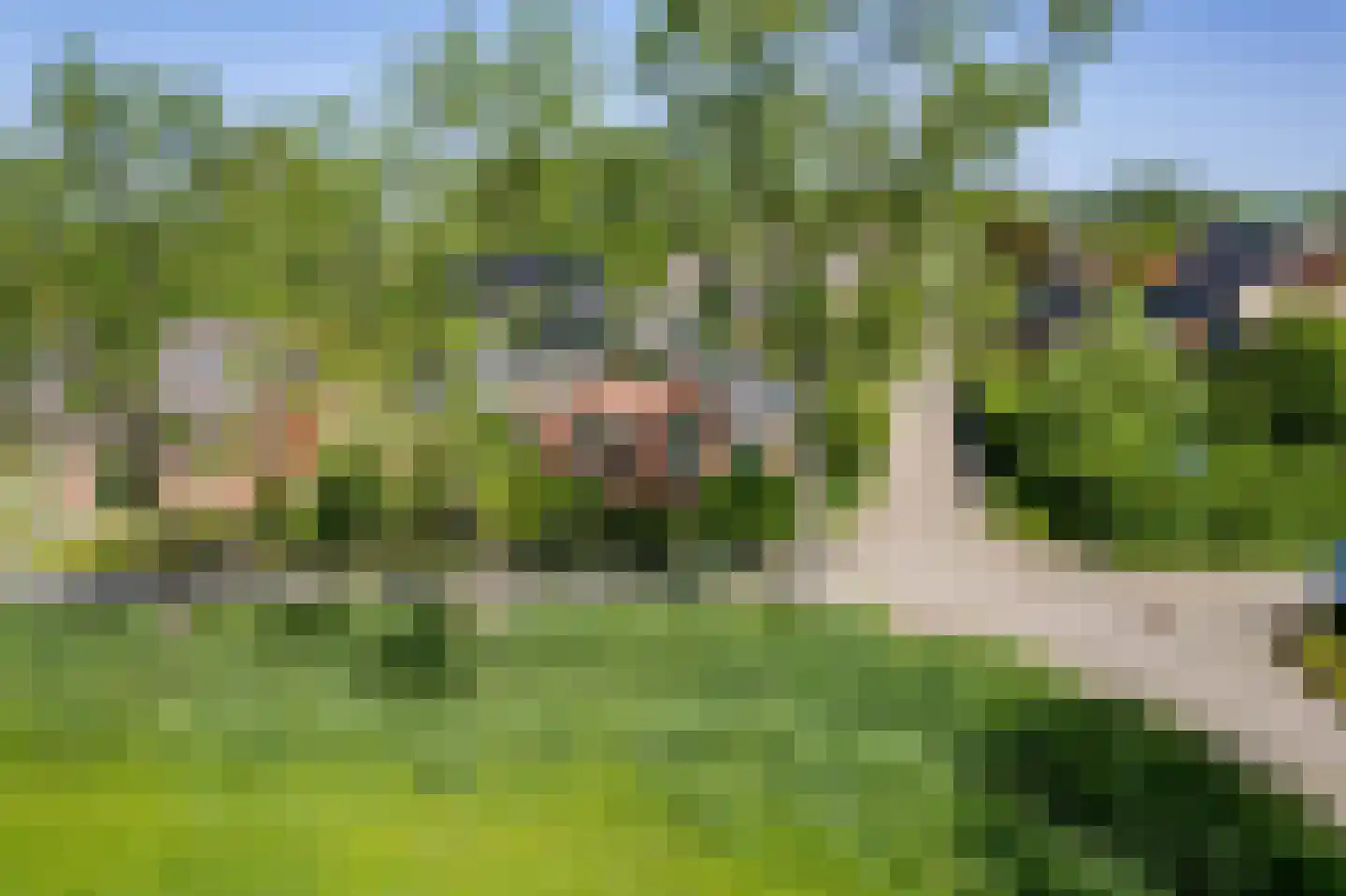Klapperhornsterweg 5 Rasquert thumbnail 53