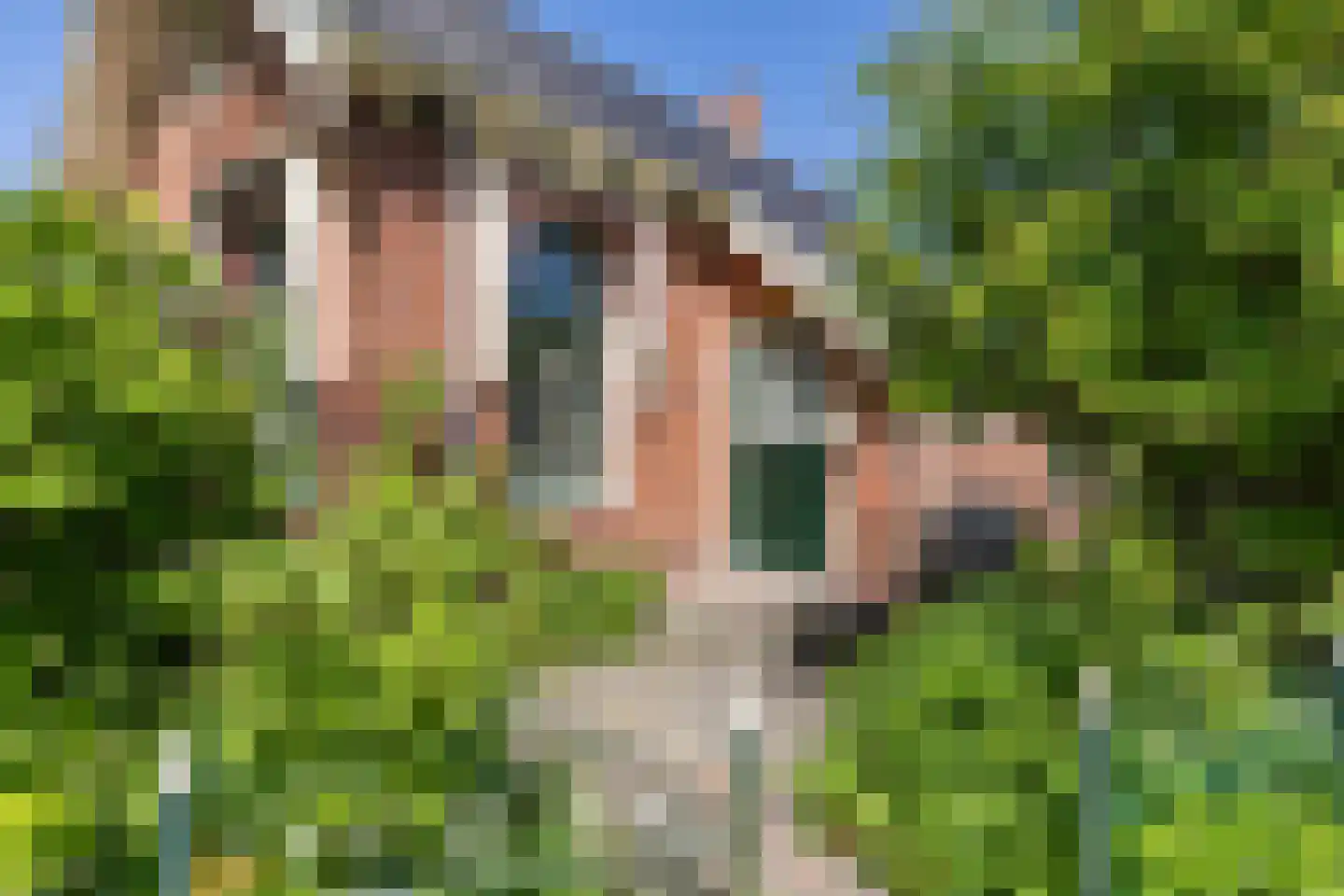 Klapperhornsterweg 5 Rasquert thumbnail 8