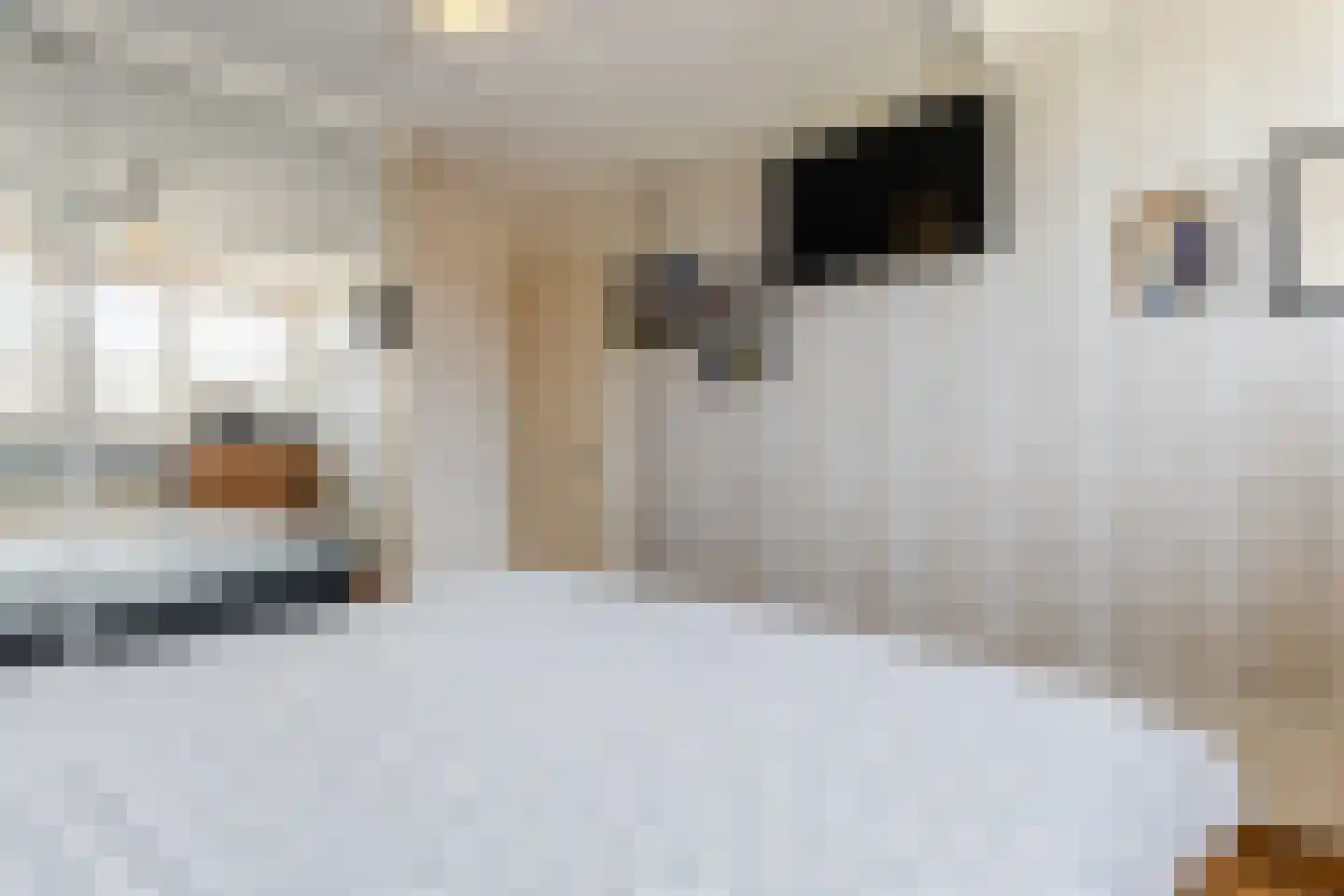 Klappermansstraat 32 Katwijk thumbnail 23