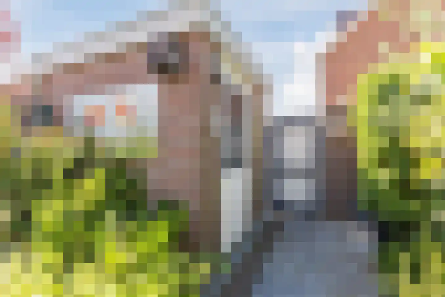 Klappermansstraat 32 Katwijk thumbnail 35