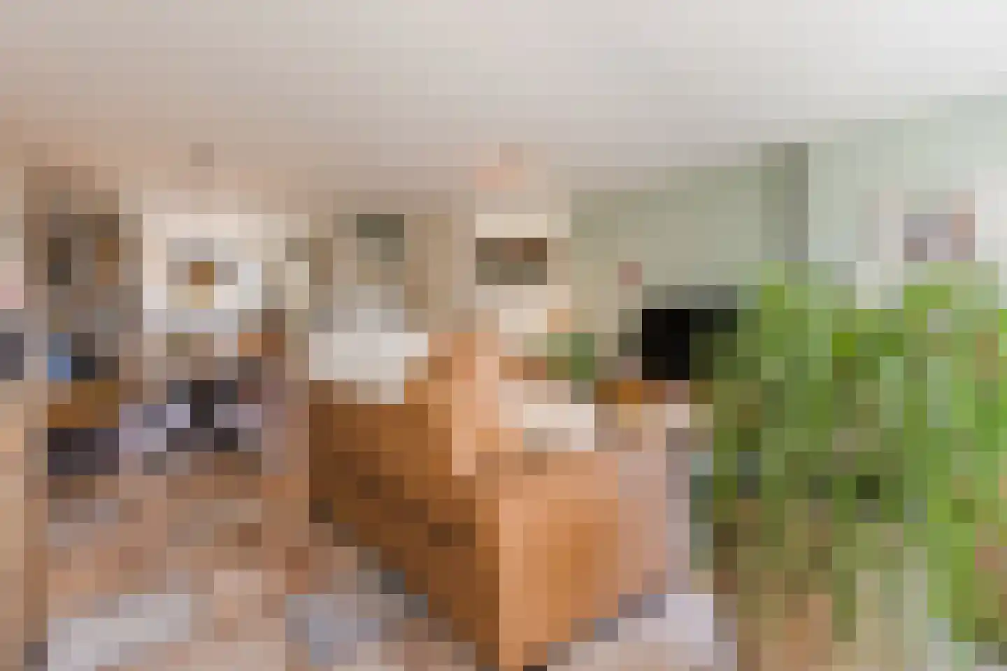 Klappermansstraat 32 Katwijk thumbnail 7