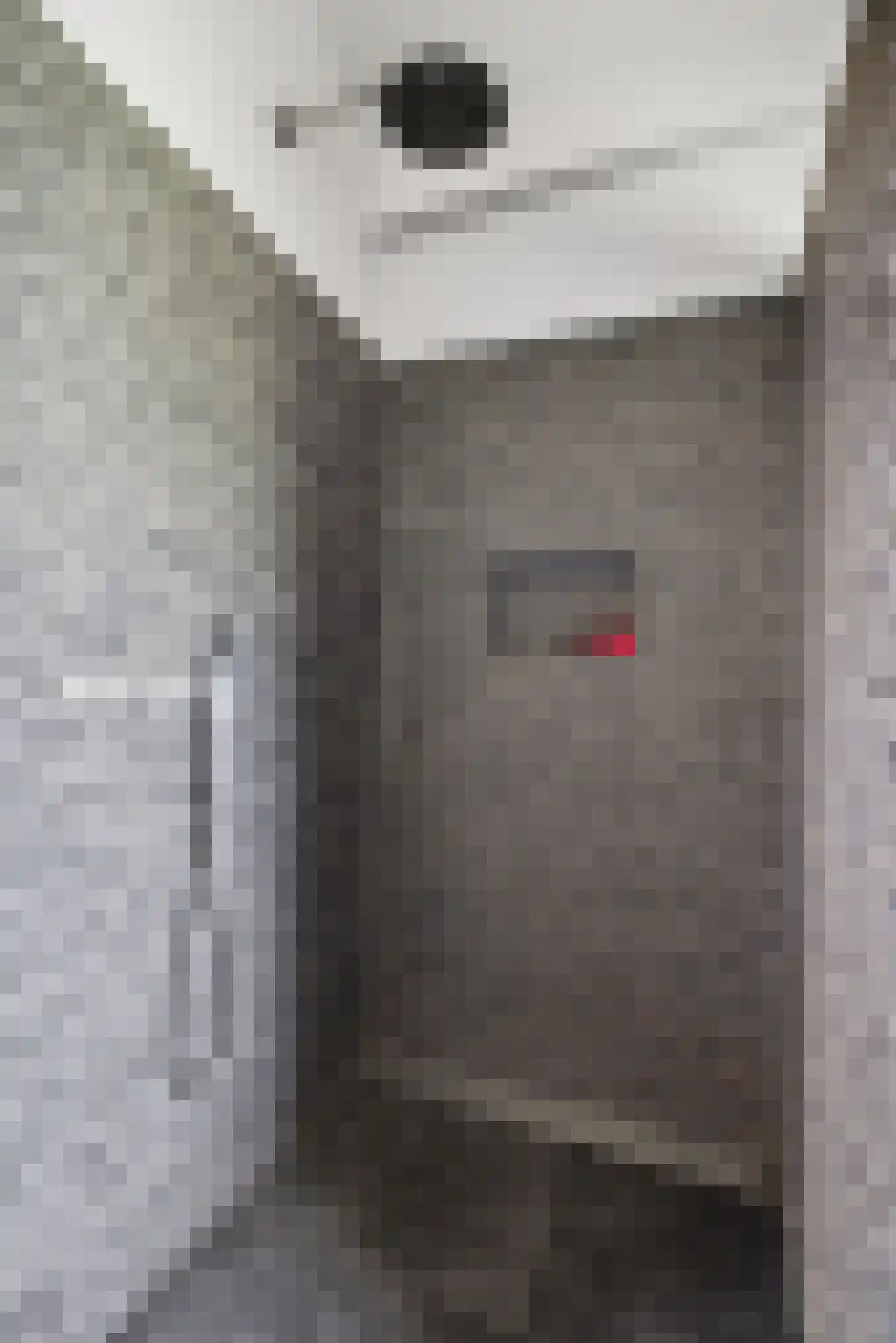 Klappermanstraat 2 Valkenswaard thumbnail 32