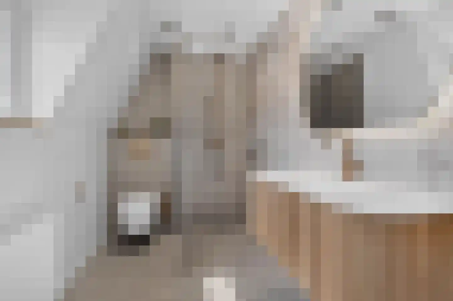 Klappermanstraat 2 Valkenswaard thumbnail 4