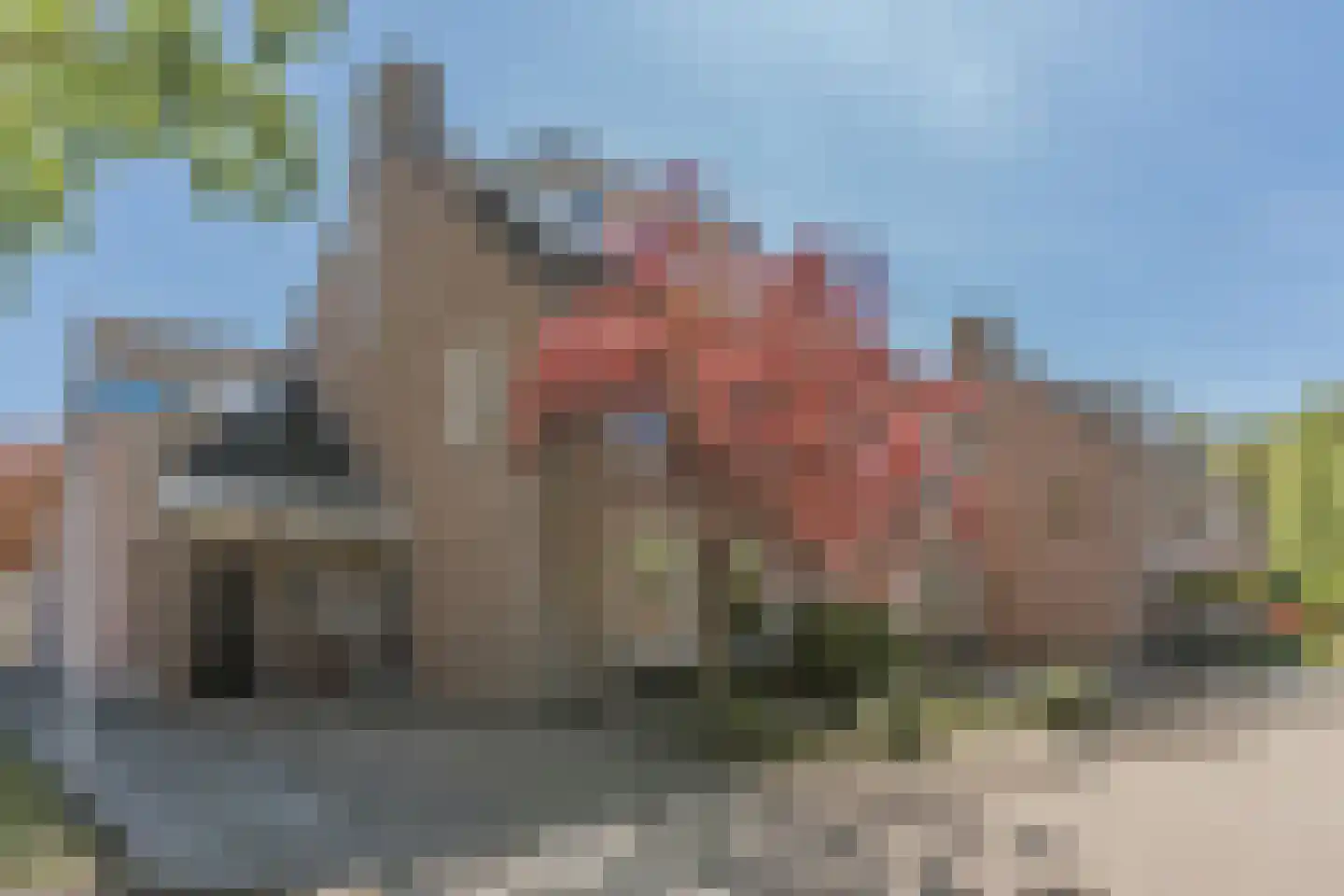 Klaproos 1 en Best