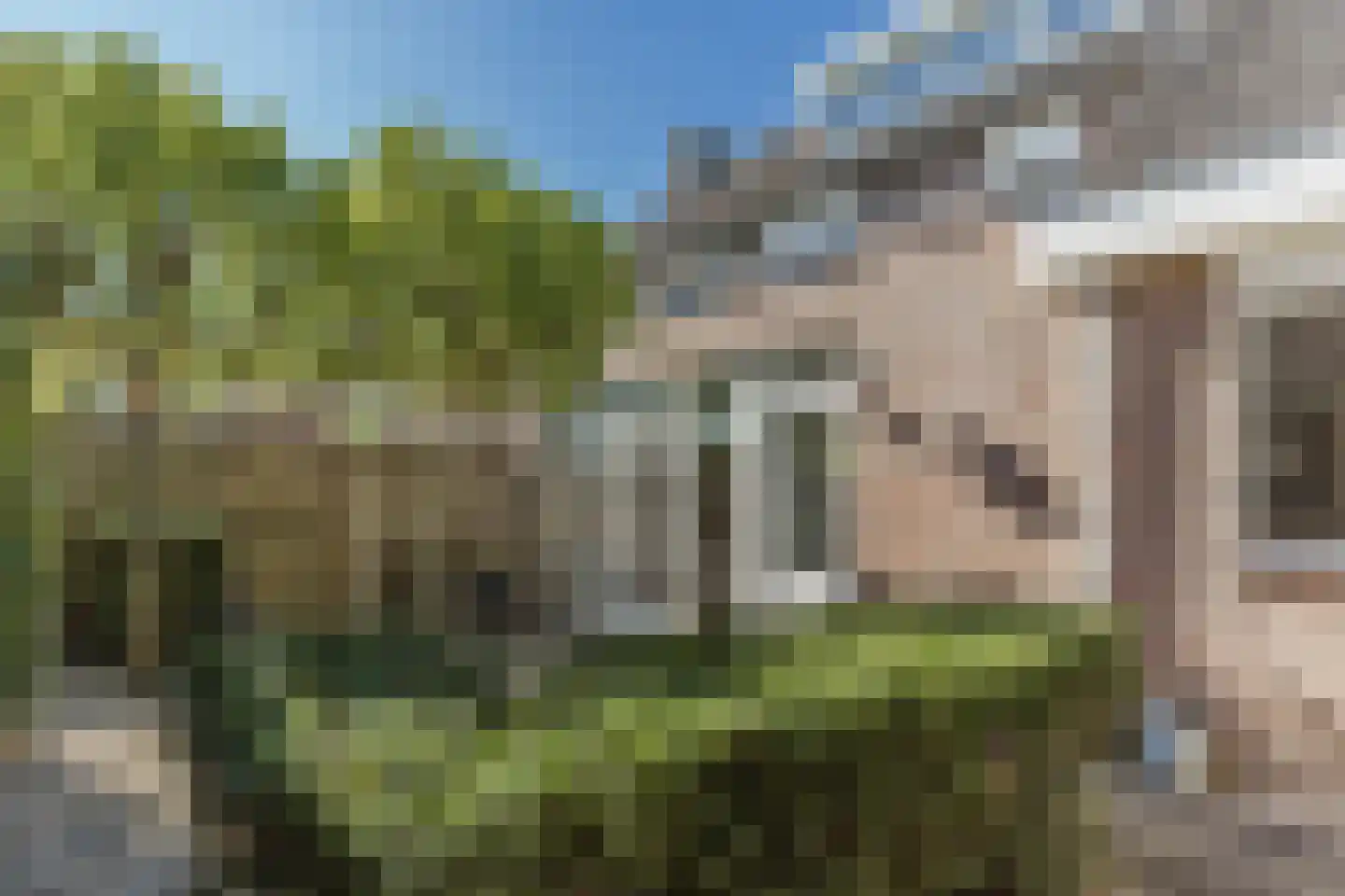 Klaproos 1 Best thumbnail 51
