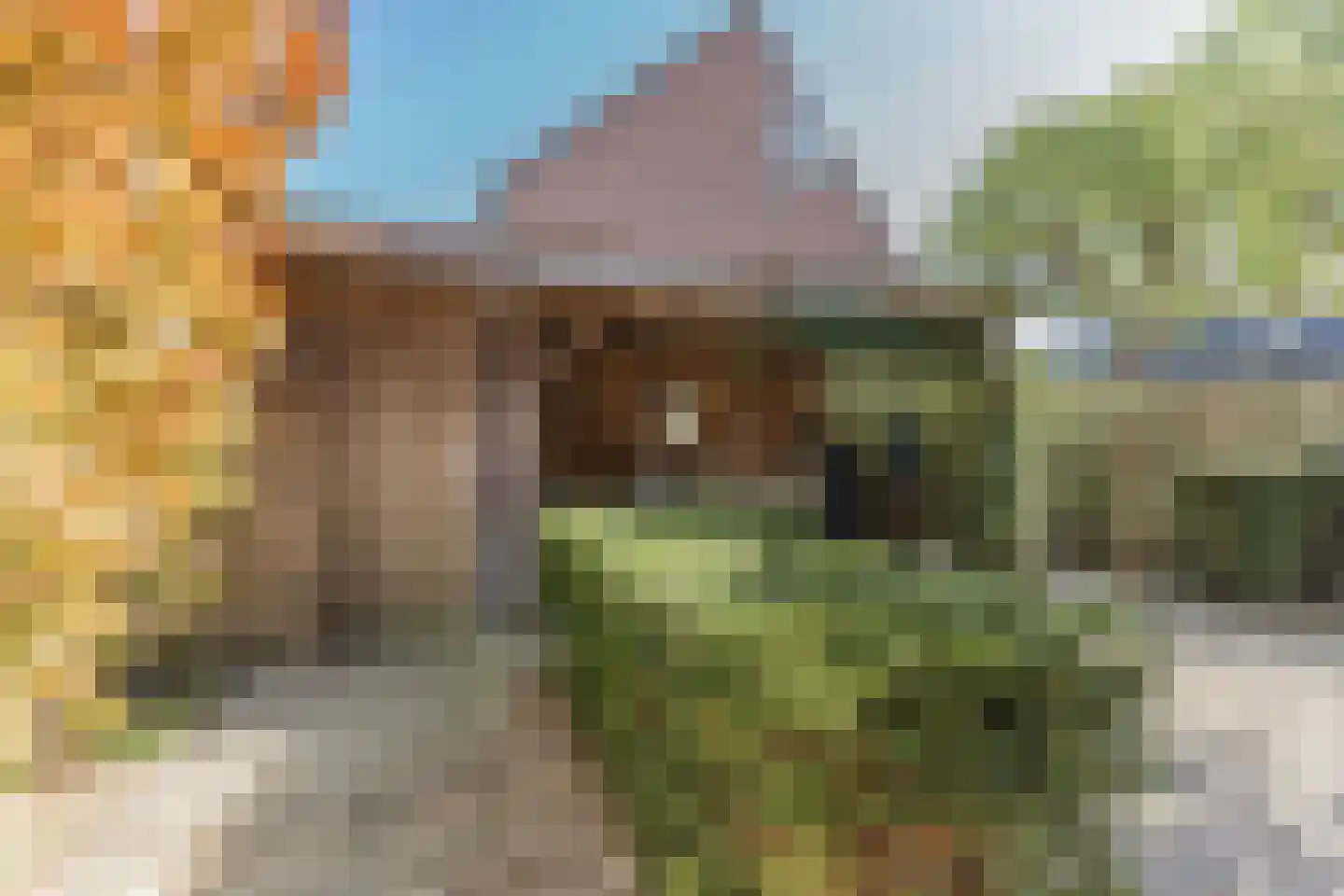 Klaproos 1 Best thumbnail 52
