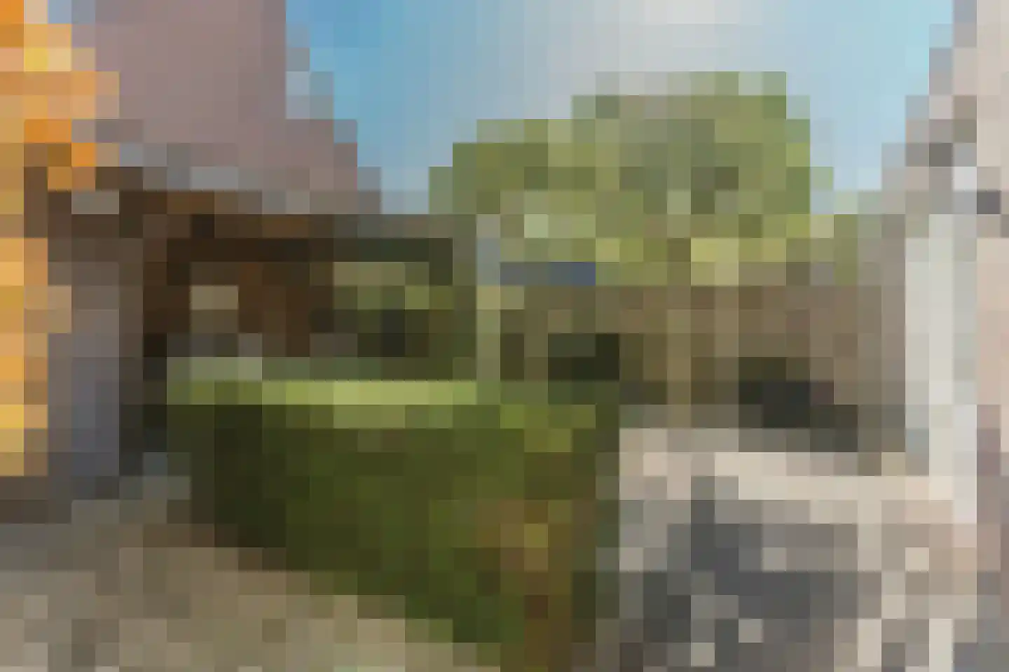 Klaproos 1 Best thumbnail 53