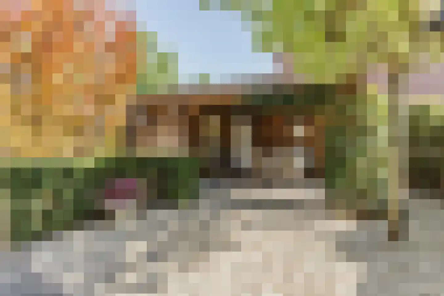 Klaproos 1 Best thumbnail 54