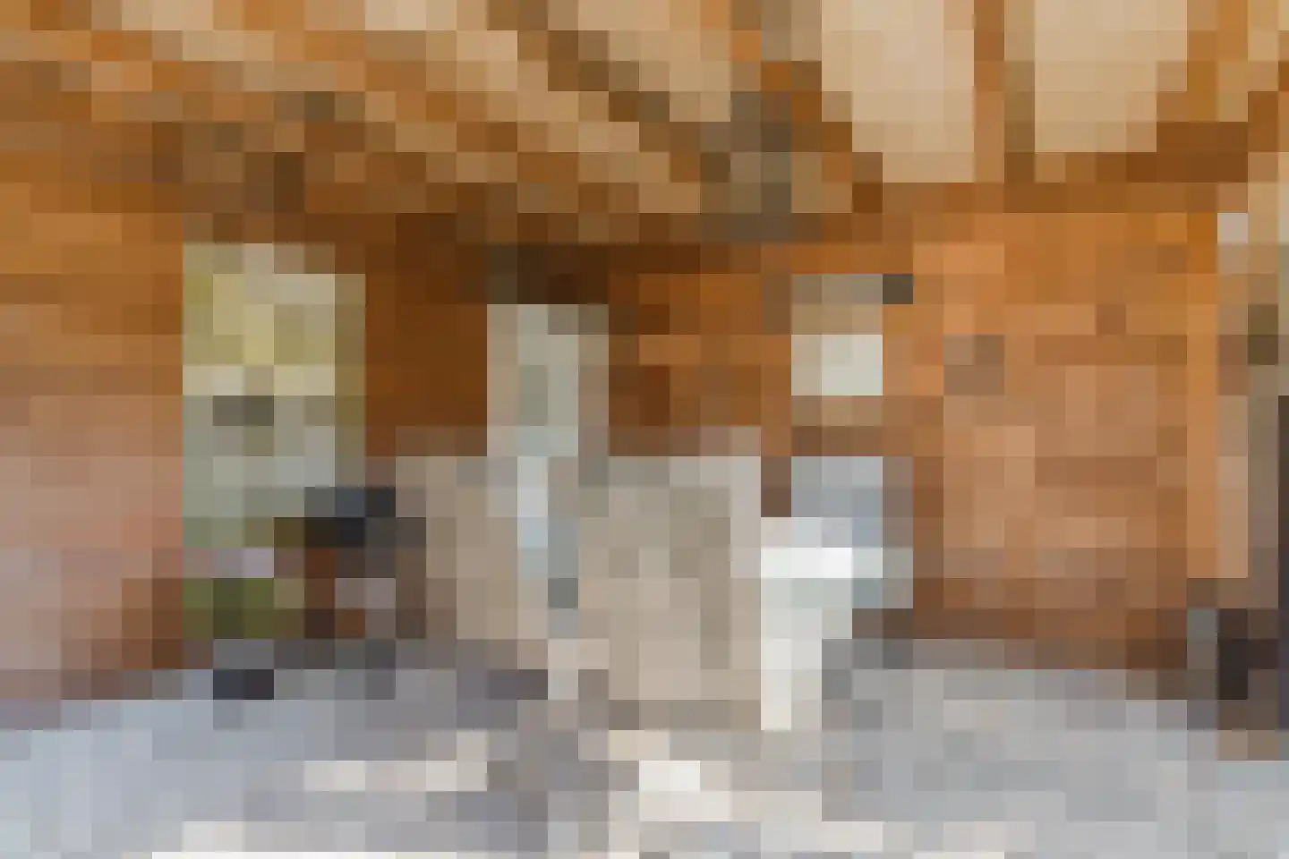 Klaproos 1 Best thumbnail 56