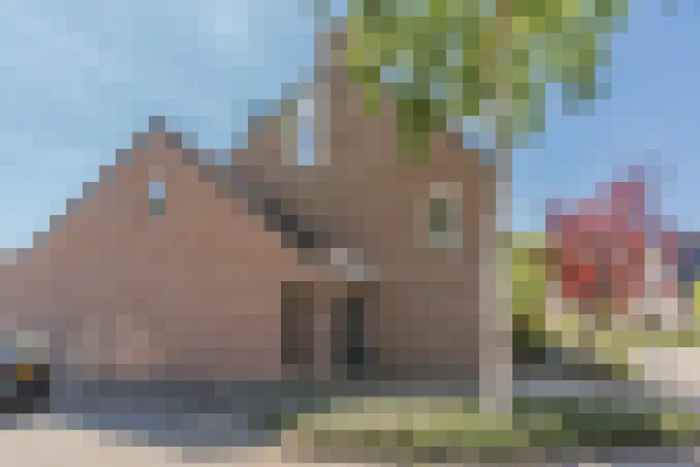 Klaproos 1 Best thumbnail 60