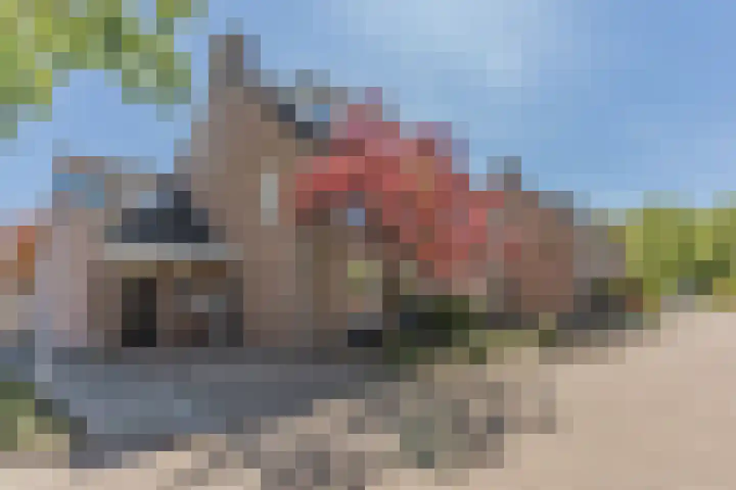 Klaproos 1 Best thumbnail 62