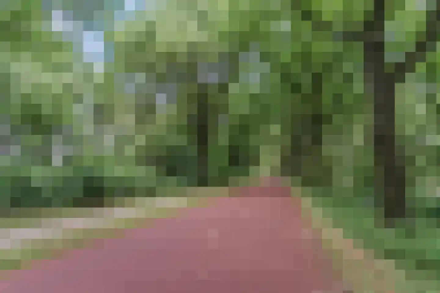 Klaproos 1 Best thumbnail 67