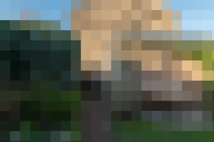 Klaproos 1 Culemborg thumbnail 13