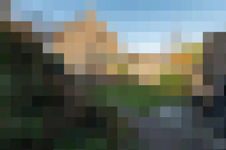 Klaproos 1 Culemborg thumbnail 14