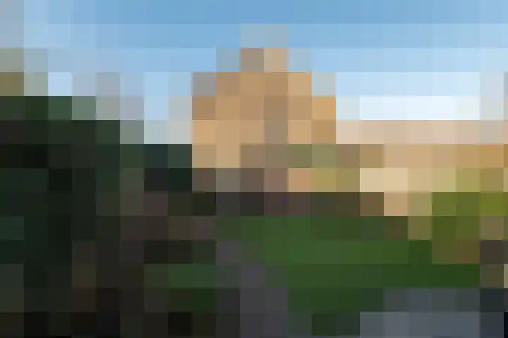 Klaproos 1 Culemborg thumbnail 15