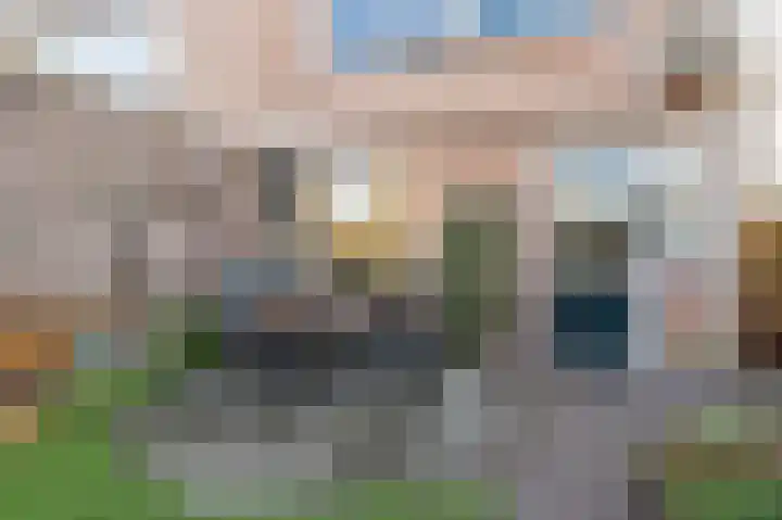 Klaproos 1 Culemborg thumbnail 17
