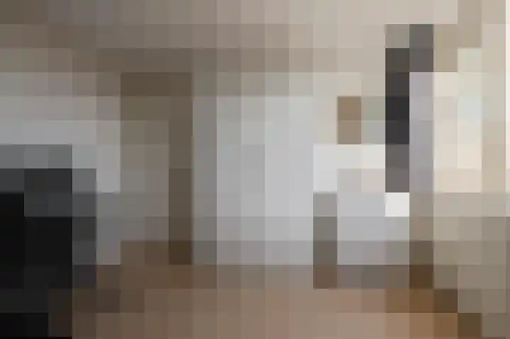 Klaproos 1 Culemborg thumbnail 20