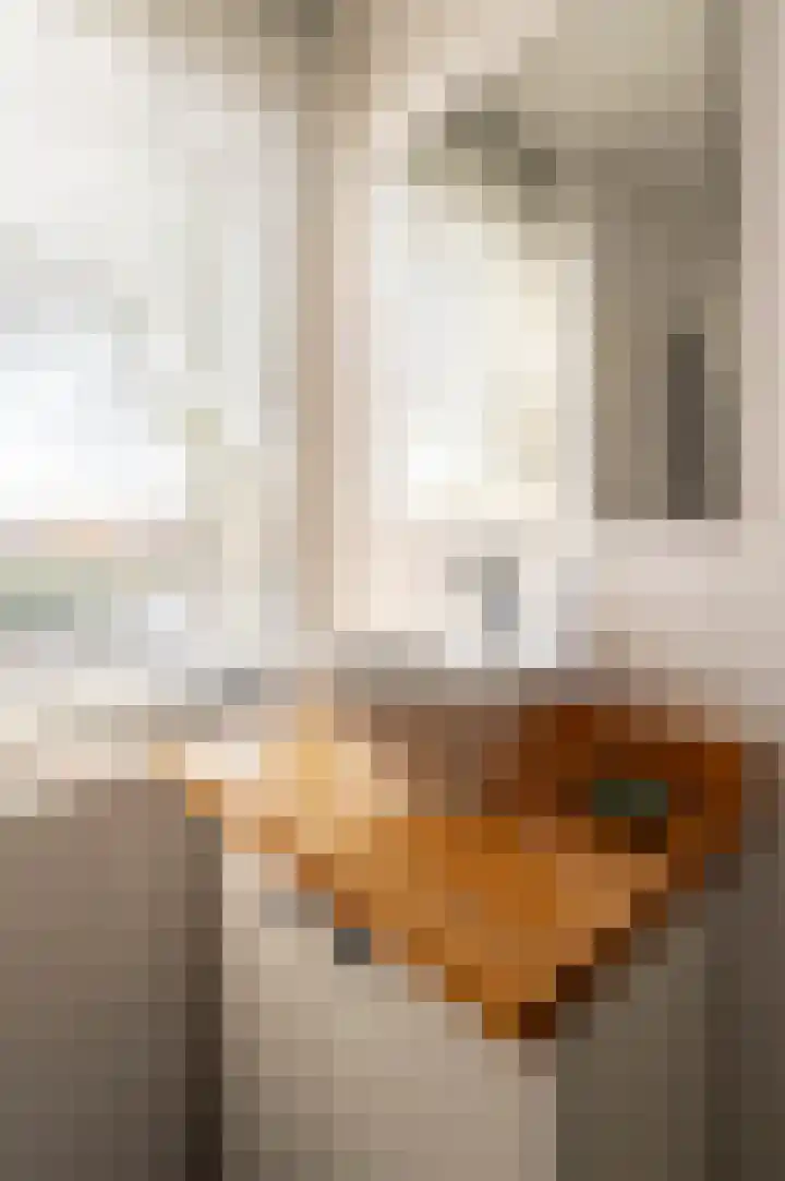 Klaproos 1 Culemborg thumbnail 28