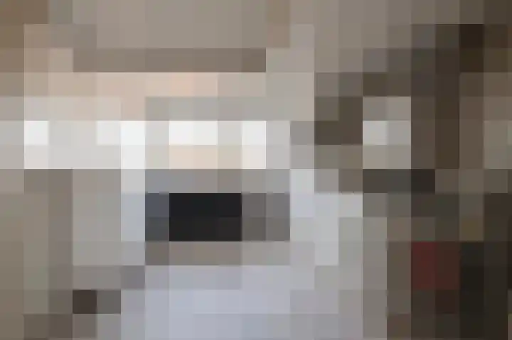 Klaproos 1 Culemborg thumbnail 30