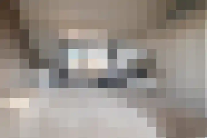 Klaproos 1 Culemborg thumbnail 33