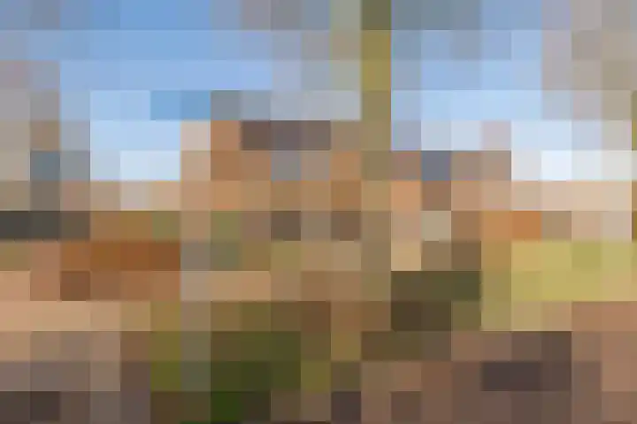 Klaproos 1 Culemborg thumbnail 34