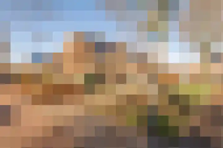 Klaproos 1 Culemborg thumbnail 35