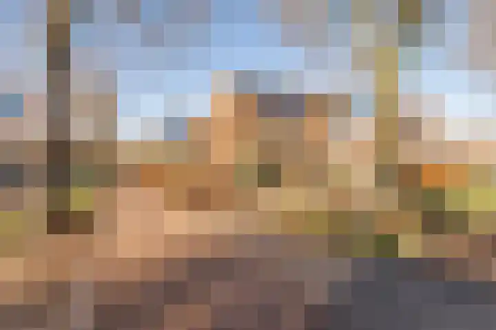 Klaproos 1 Culemborg thumbnail 36