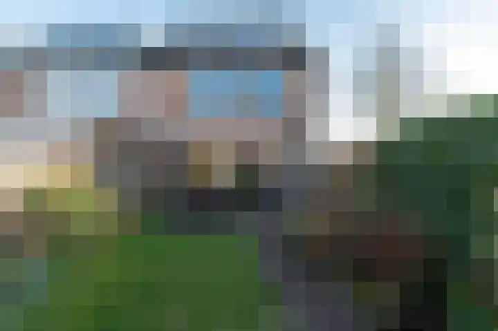 Klaproos 1 Culemborg thumbnail 4