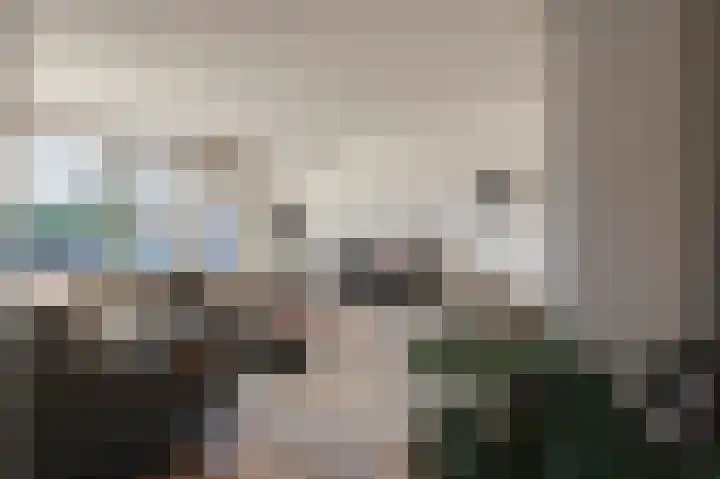 Klaproos 1 Culemborg thumbnail 6