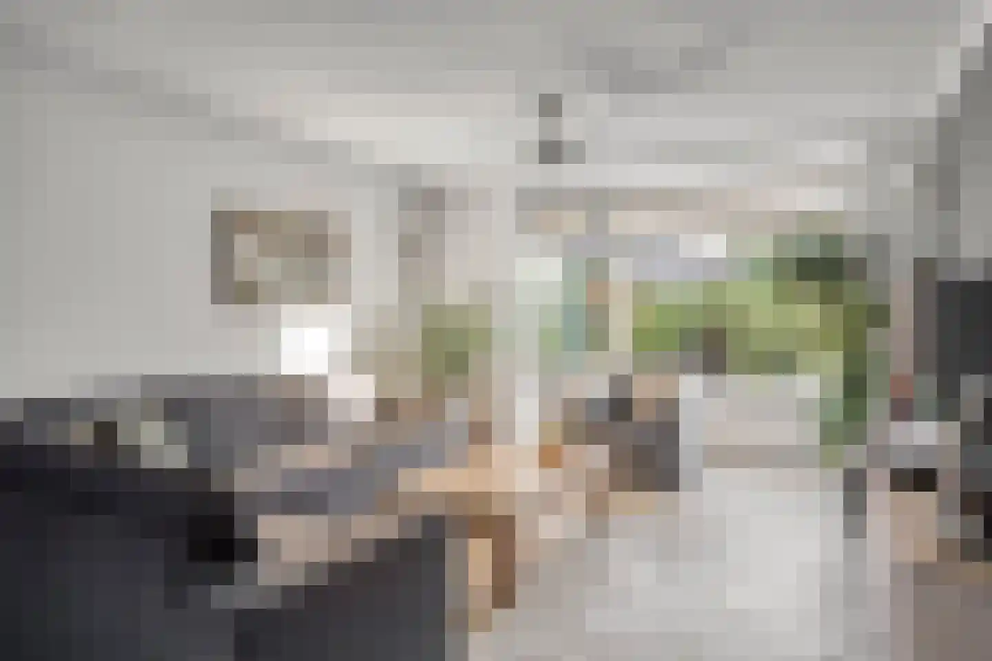 Klaproos 1 Haaksbergen thumbnail 12