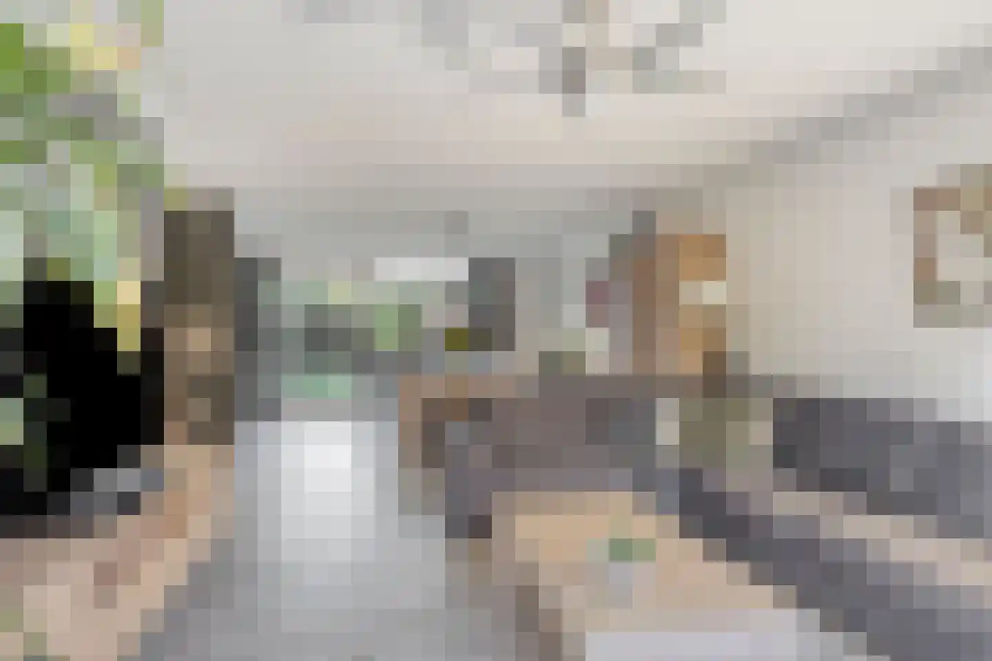 Klaproos 1 Haaksbergen thumbnail 13